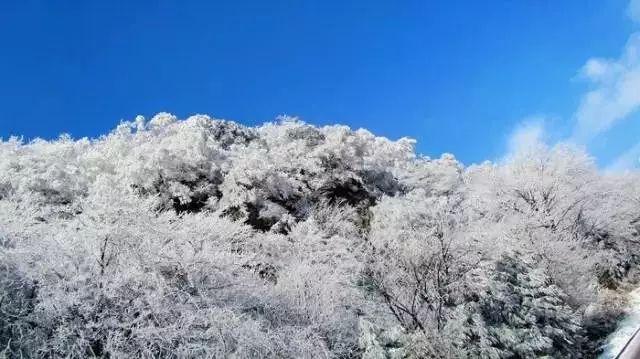 吸血鬼
