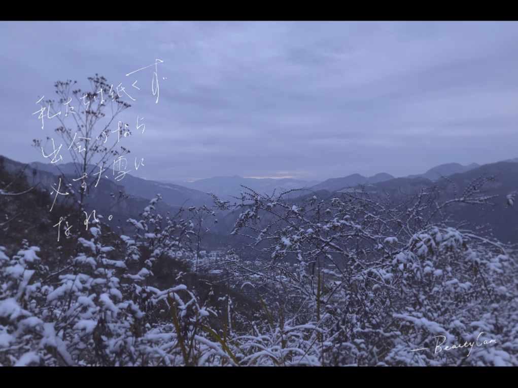 她比关之琳更美更有势力,却被黑帮大佬囚禁3小时,惨过蓝洁瑛